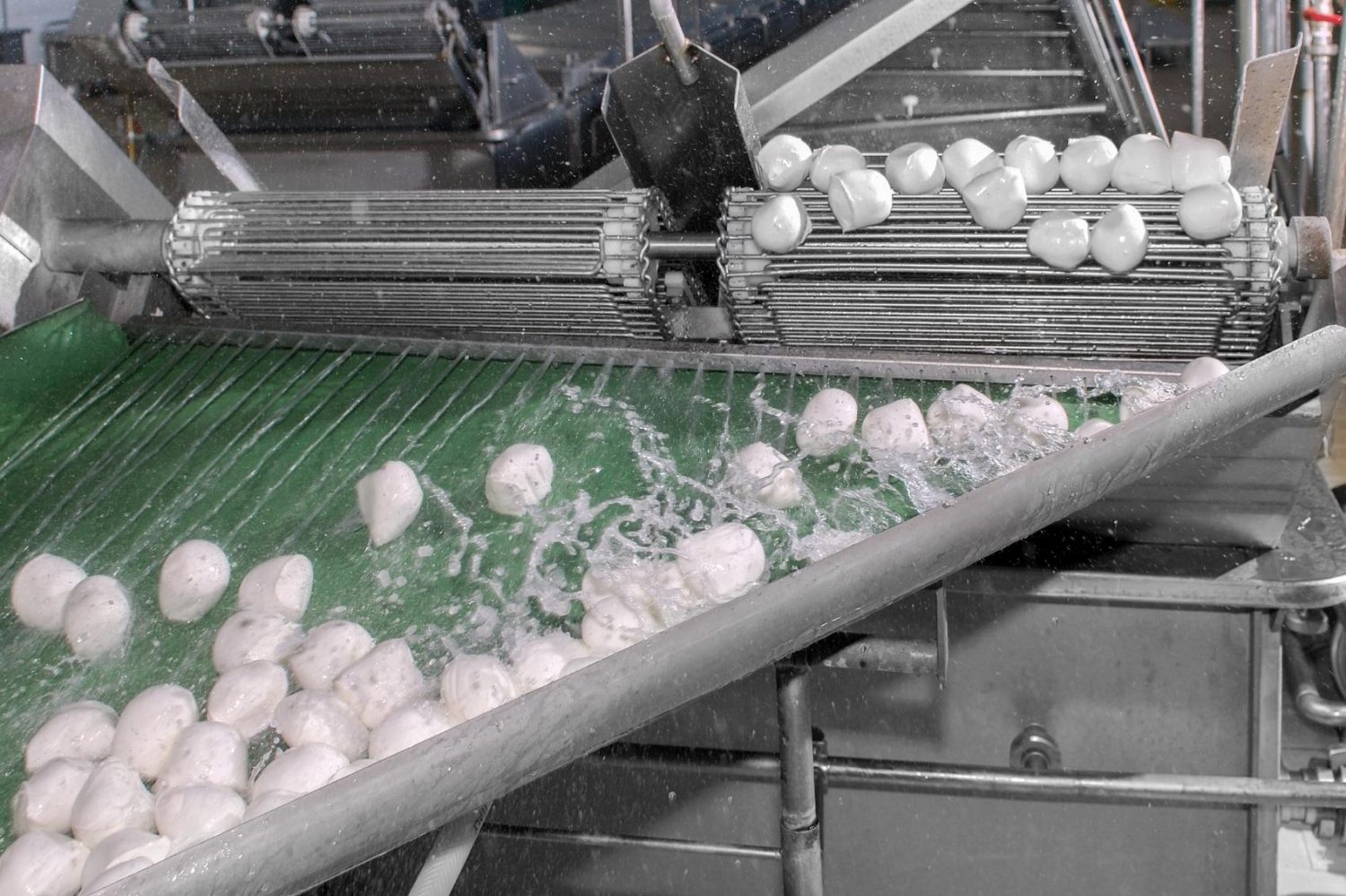 Semplice, Economico, Made in Italy: Il Sistema di Pesatura di Picotronik per l’Industria Alimentare - mozzarelle